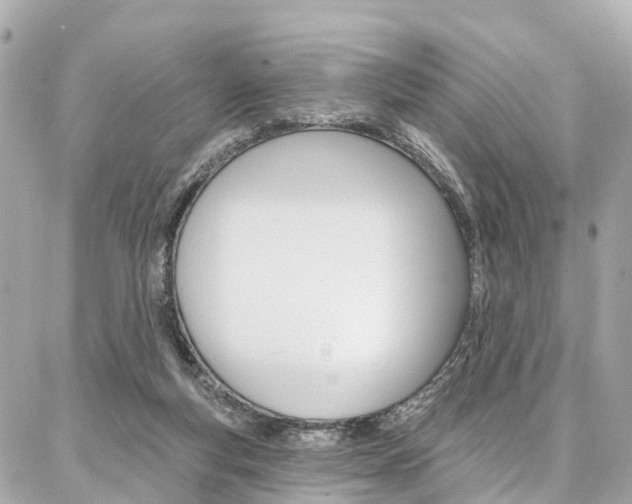 X0000086930163200704161108