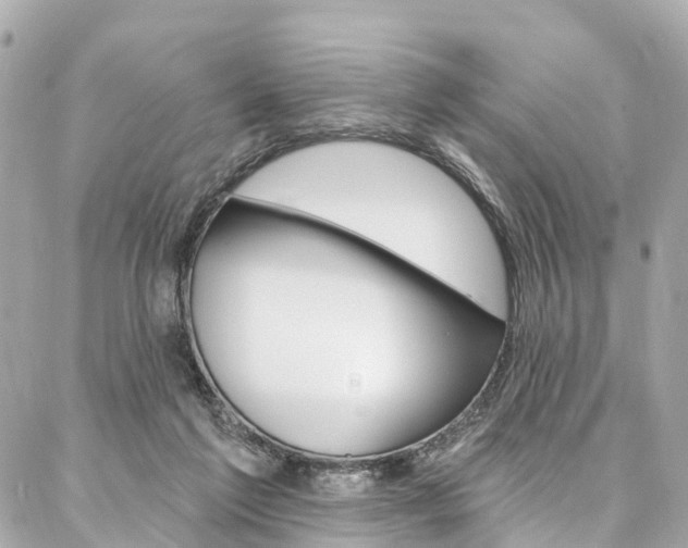 X0000086930213200704161108