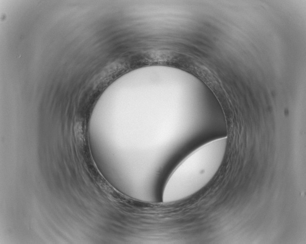 X0000086930220200704161108