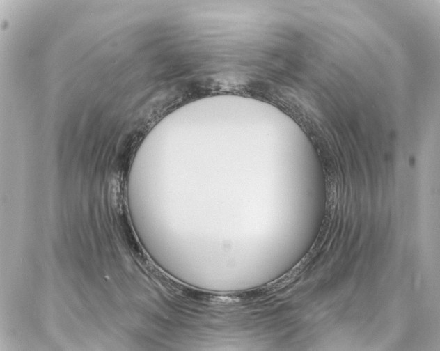 X0000086930222200704161108