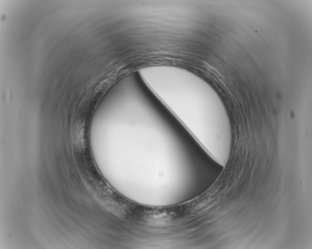 X0000086930267200704161107