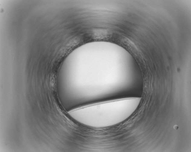 X0000086930277200704161107
