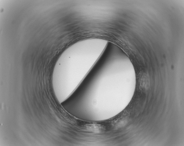 X0000086930316200704161106
