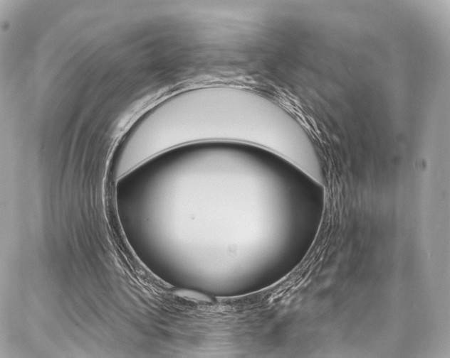 X0000086930340200704161105