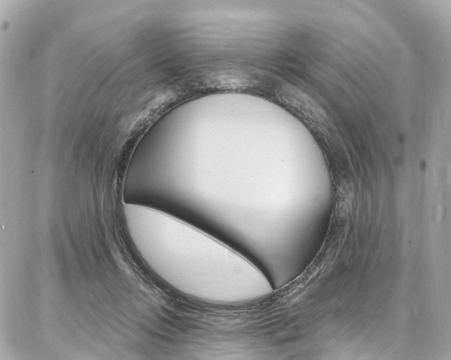 X0000086930358200704161105
