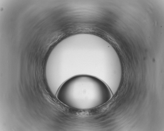 X0000086930362200704161105