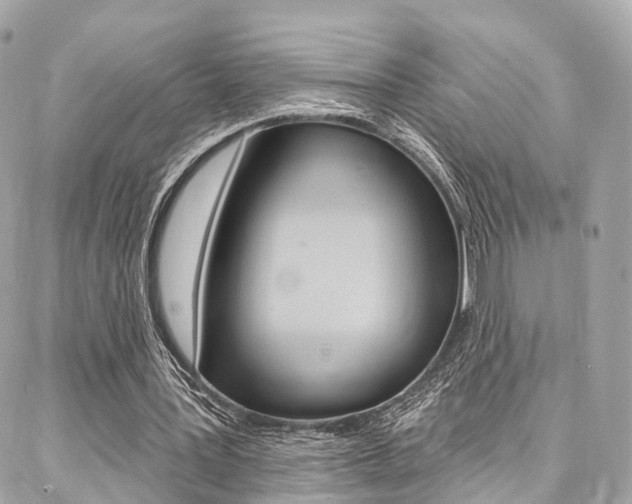 X0000086930387200704161105