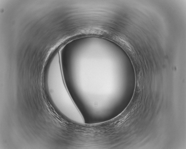 X0000086930388200704161105