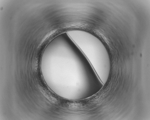 X0000086930400200704161105