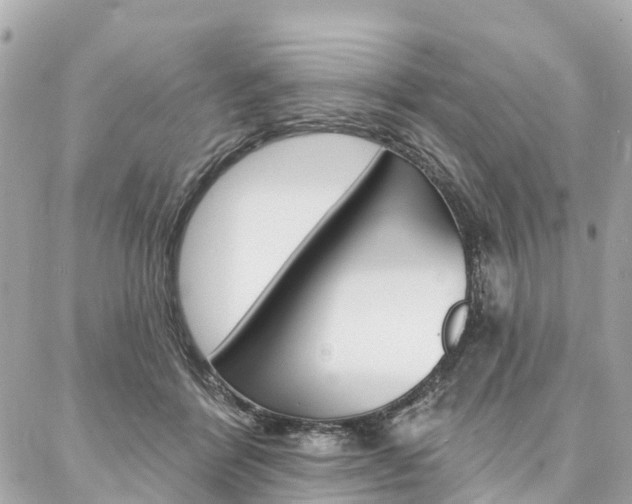 X0000086930412200704161105
