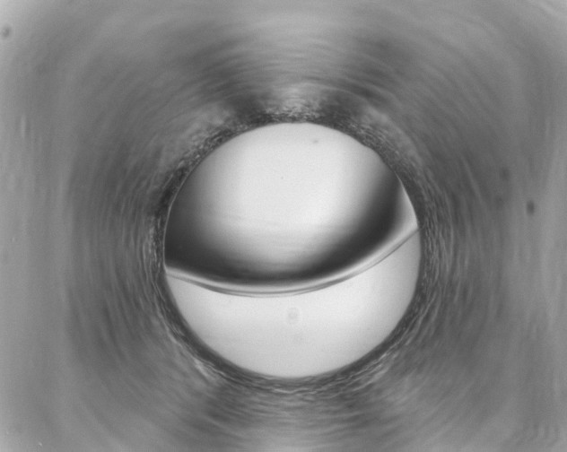 X0000086930416200704161104