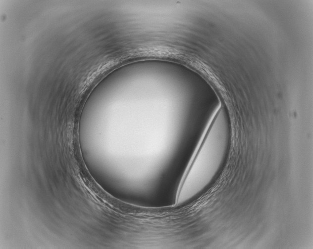 X0000086930434200704161103