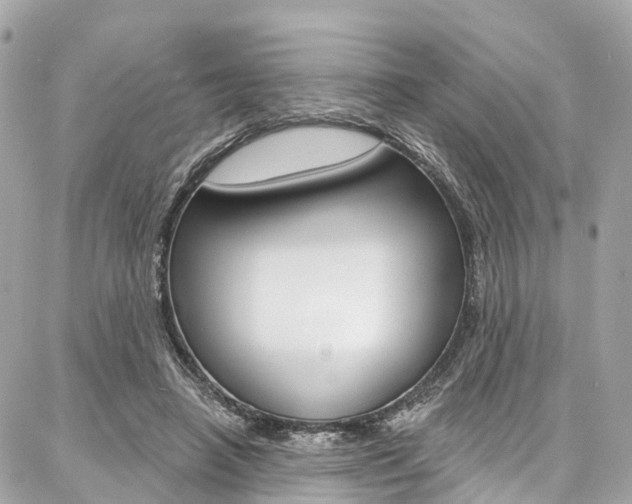 X0000086930450200704161104