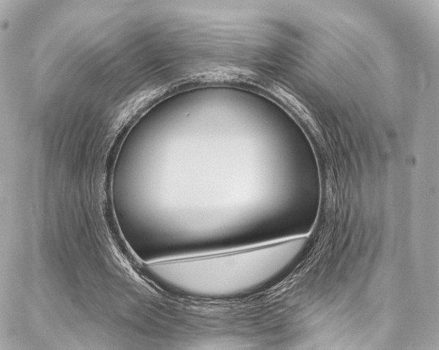 X0000086930485200704161103