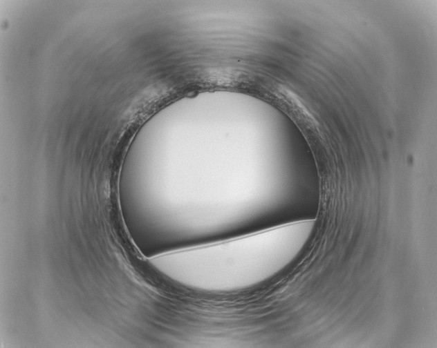 X0000086930500200704161103