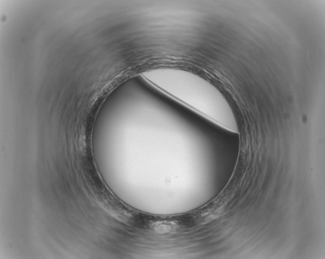 X0000086930508200704161103