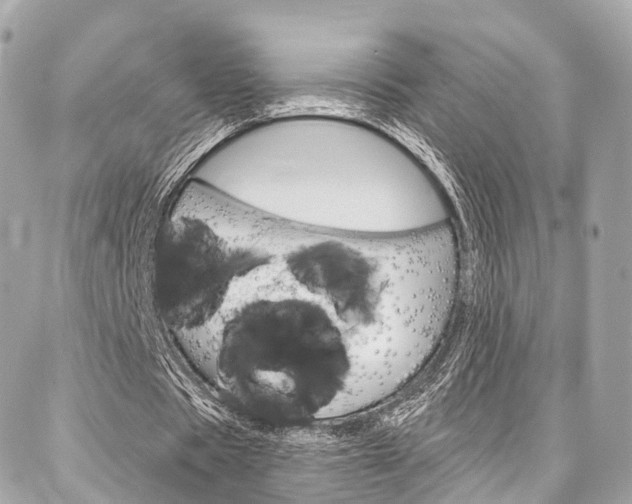 X0000086930529200704161102