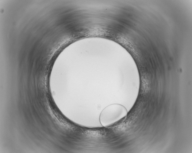 X0000086930534200704161102