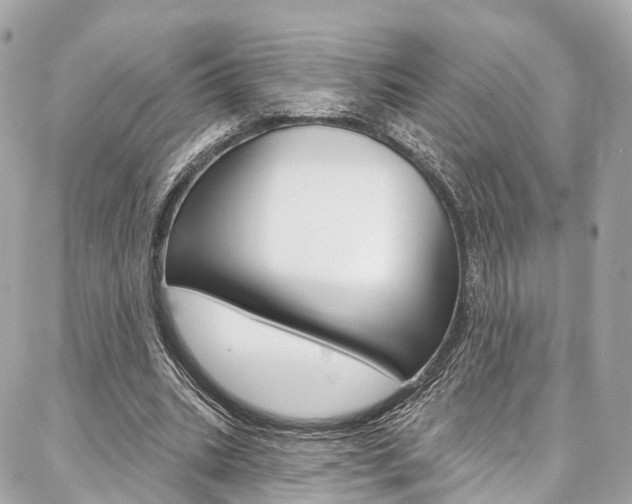 X0000086930535200704161102