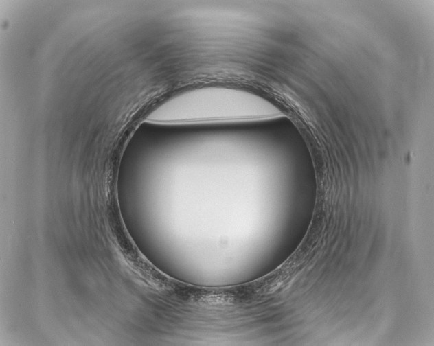 X0000086930546200704161102
