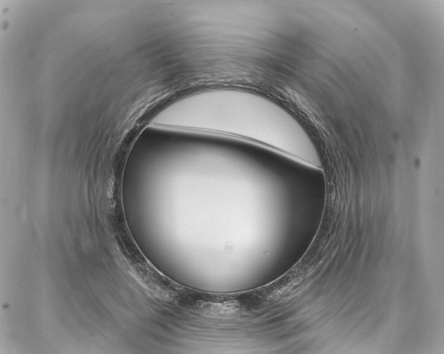 X0000086930548200704161102