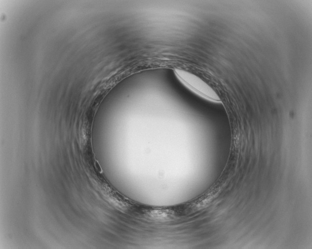 X0000086930566200704161102