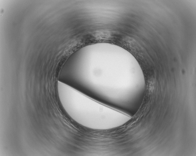 X0000086930567200704161102
