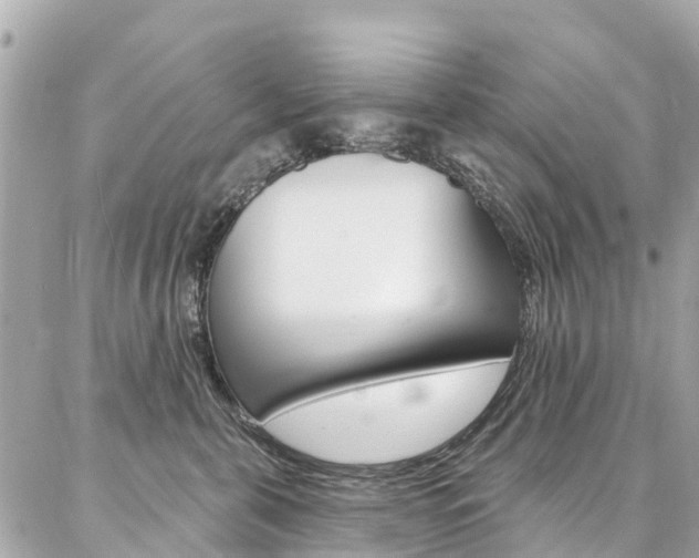 X0000086930571200704161102