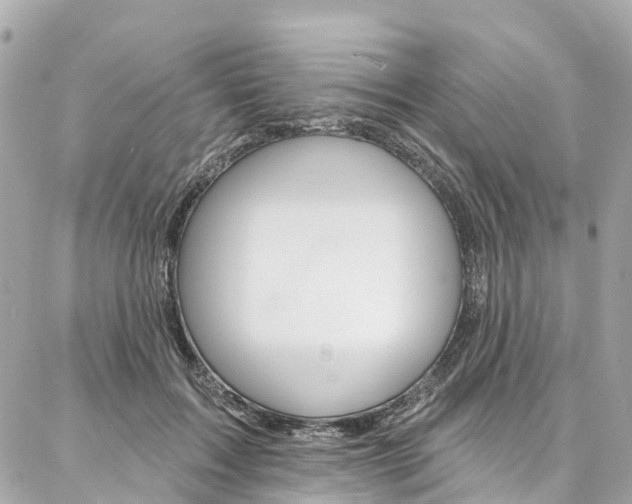 X0000086930603200704161101