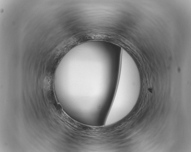 X0000086930604200704161101