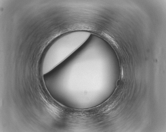 X0000086930627200704161100