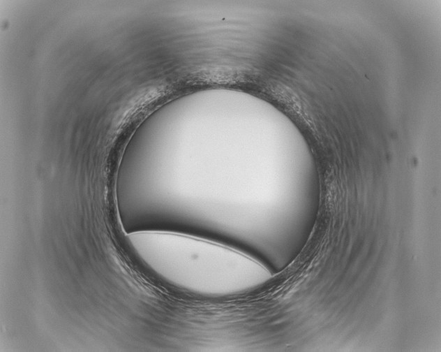 X0000086930635200704161100