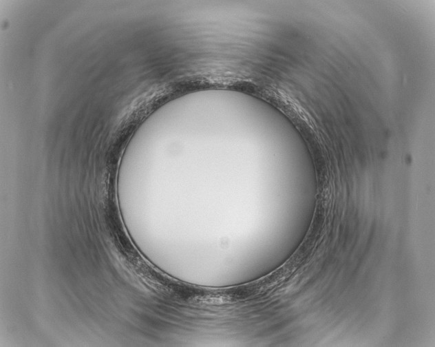 X0000086930639200704161100