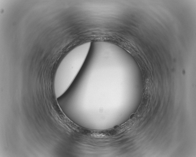 X0000086930650200704161101