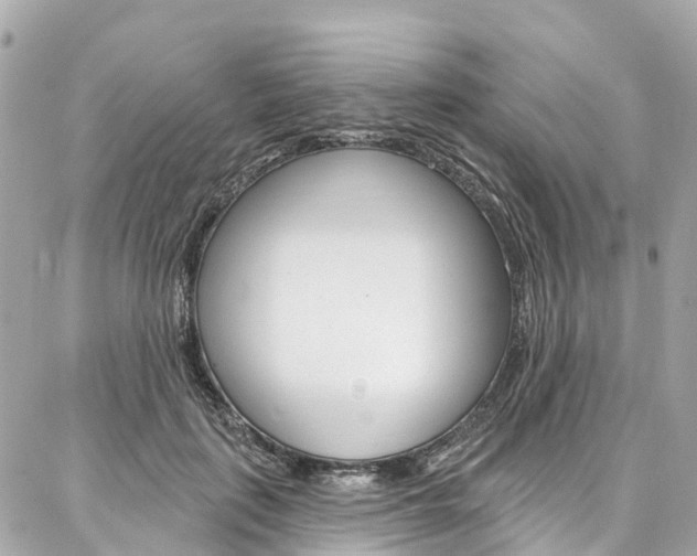 X0000086930651200704161101