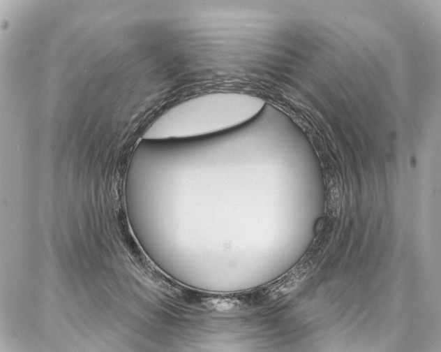 X0000086930654200704161101