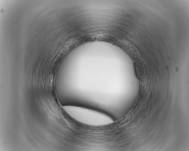 X0000086930660200704161101