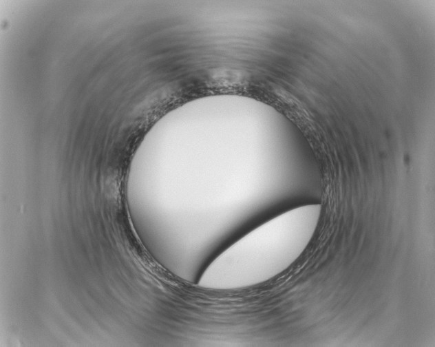 X0000086930662200704161101