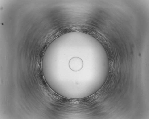 X0000086930702200704161100