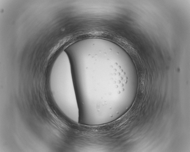 X0000086930734200704161059