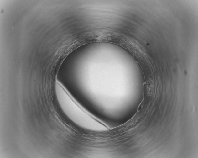 X0000086930748200704161059