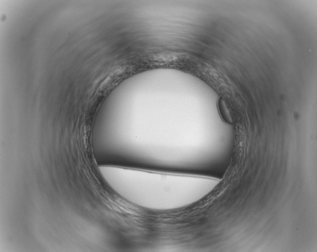 X0000086930758200704161059