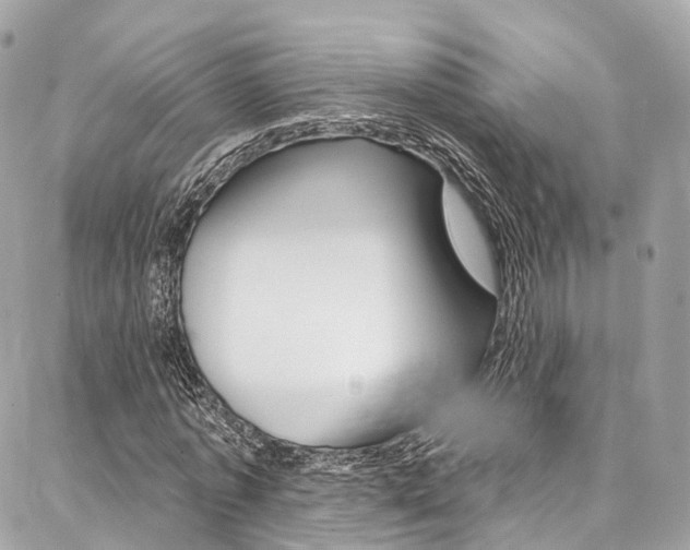X0000086930773200704161059
