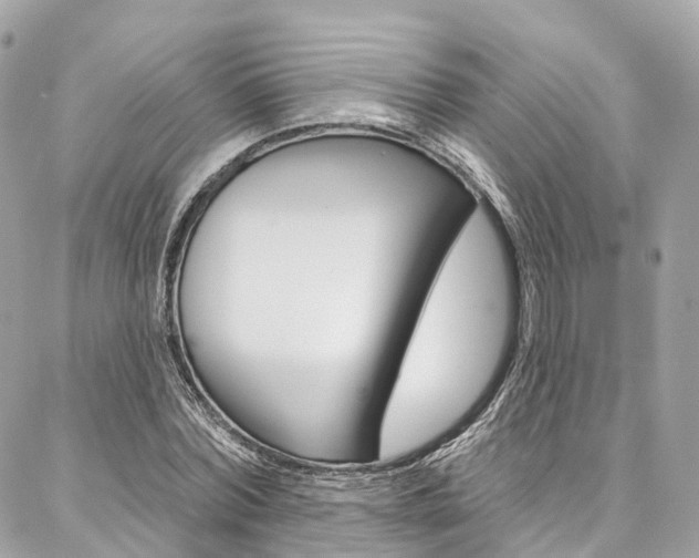 X0000086930780200704161058