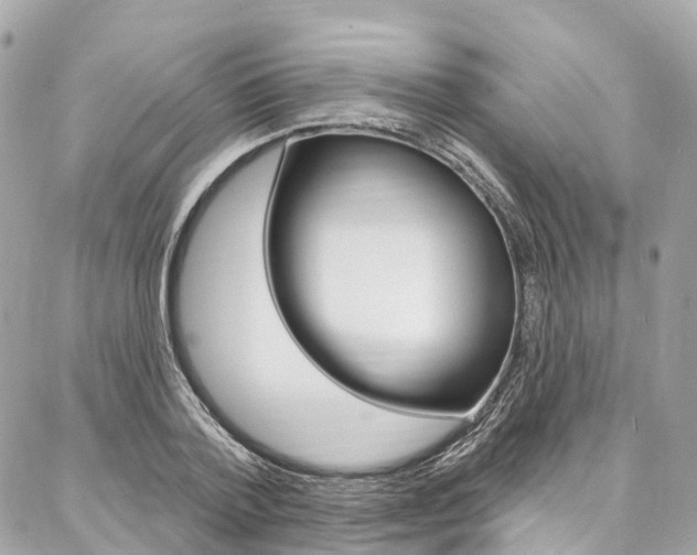 X0000086930788200704161058