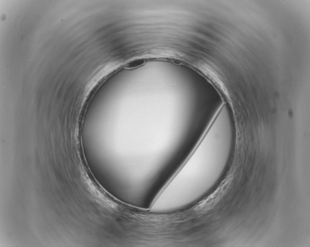 X0000086930797200704161058