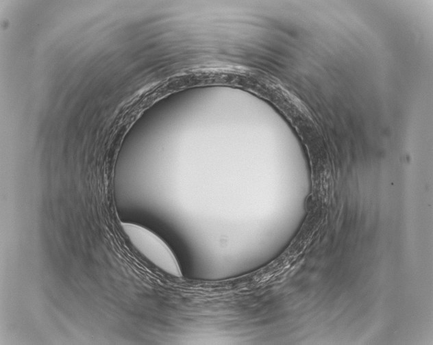 X0000086930821200704161057