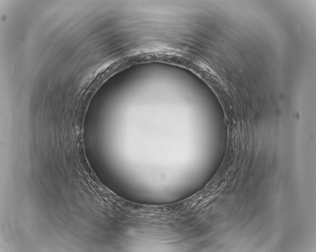 X0000086930822200704161057
