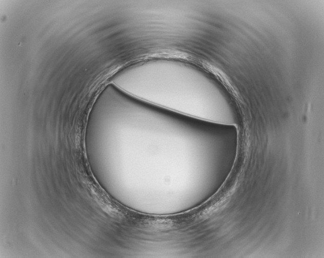 X0000086930833200704161057