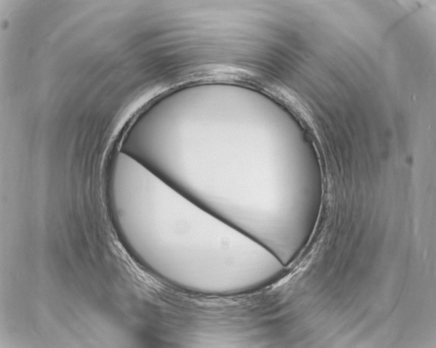 X0000086930835200704161057